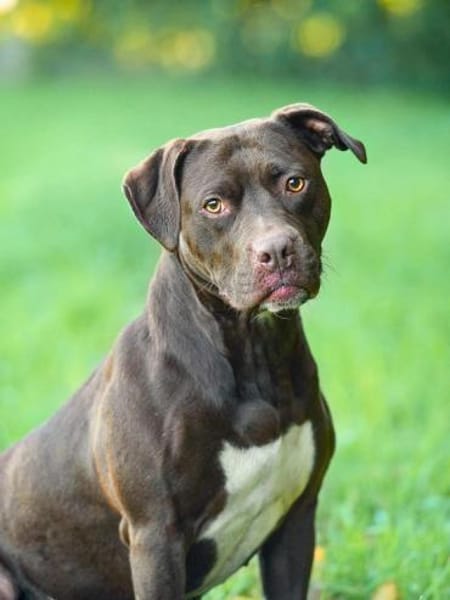 Ronja - ist ausgeglichen