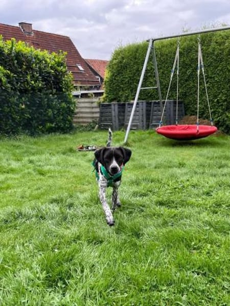 Darcy wer zeigt ihr die große weite Welt