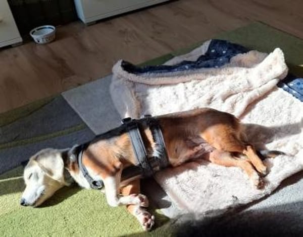 Paula  bereit für ihr Happy End.
