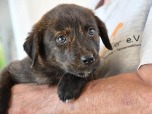 Chiara sucht eigene Familie