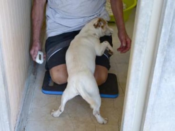 Junggebliebener Spike sucht Zuhause