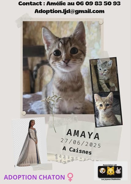 amaya