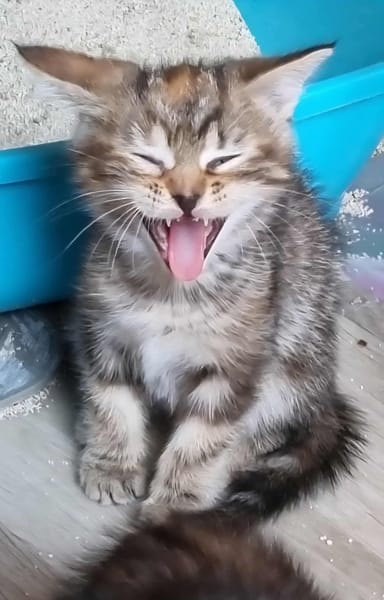 Alaska