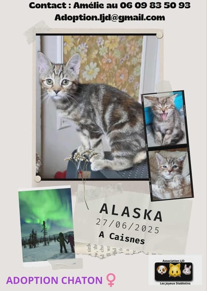 Alaska