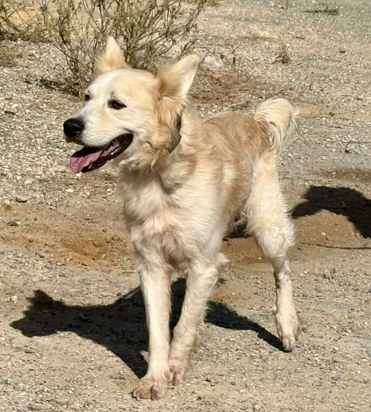 COPITO (Maria)