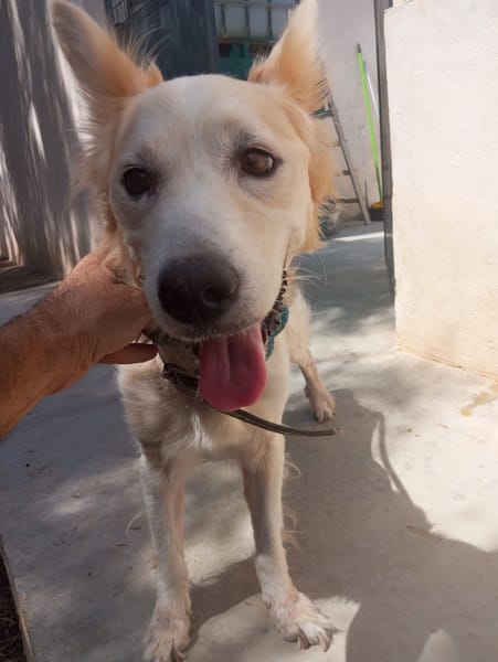 COPITO (Maria)