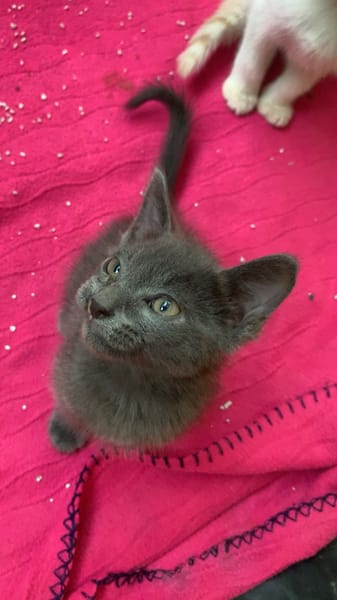 Salem
