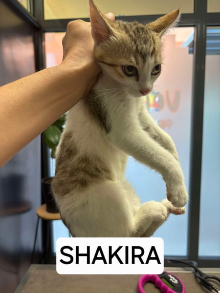 Shakira