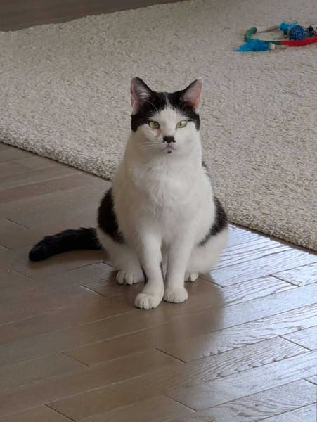 EMIE