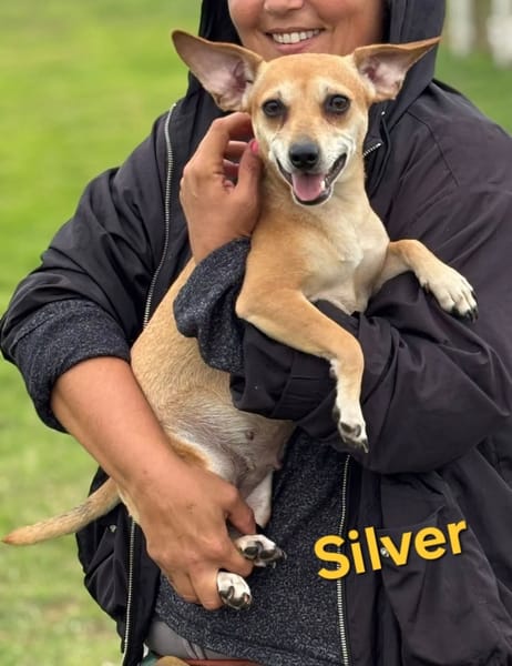 Silver