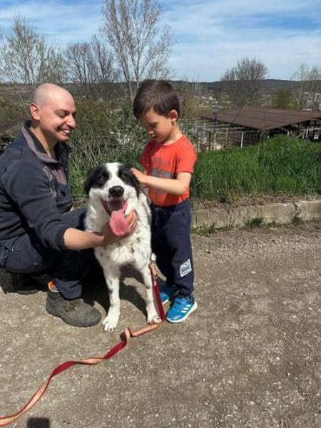 NOTFALLHUND JACKSON sucht dringend🙏🆘