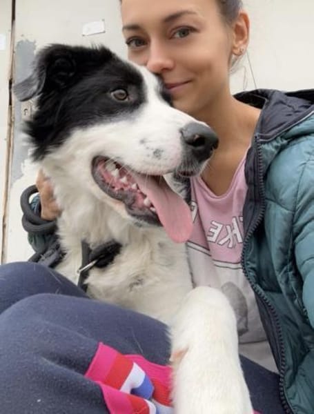 NOTFALLHUND JACKSON sucht dringend🙏🆘
