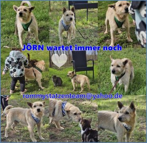 Jörn ist aufgeschlossen und lernbegierig