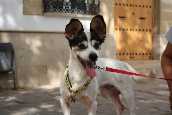 CURRO