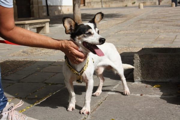 CURRO