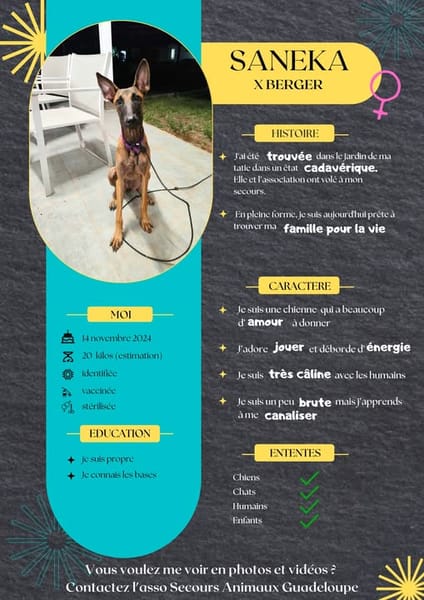 La belle SANEKA !