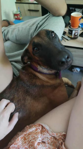 La belle SANEKA !