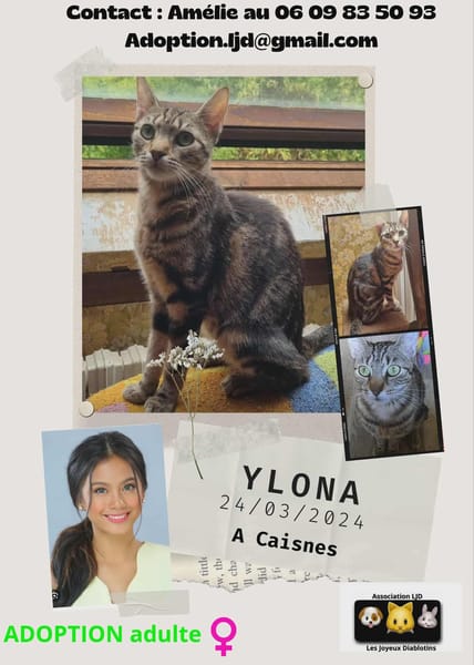 ylona