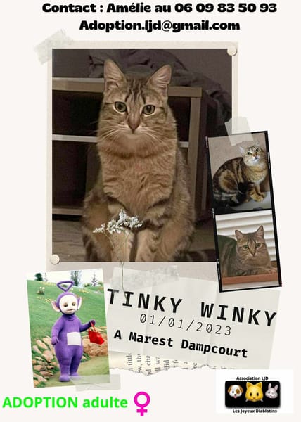 Tinky Winky