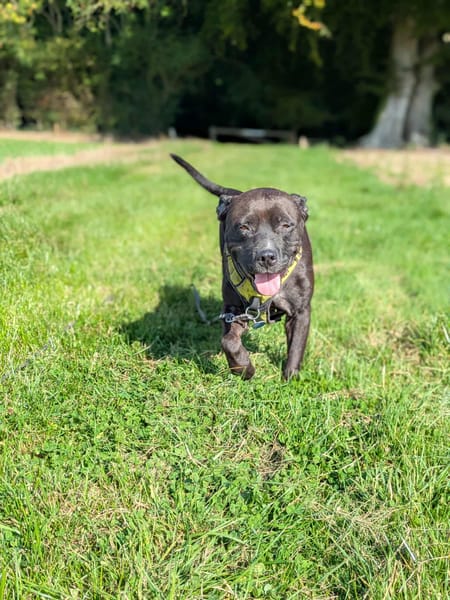 Paty, une Gwada en Normandie