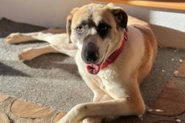 Juli: mit Sonne im Herzen