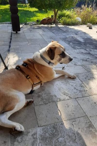 Juli: mit Sonne im Herzen