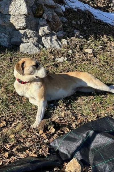 Juli: mit Sonne im Herzen