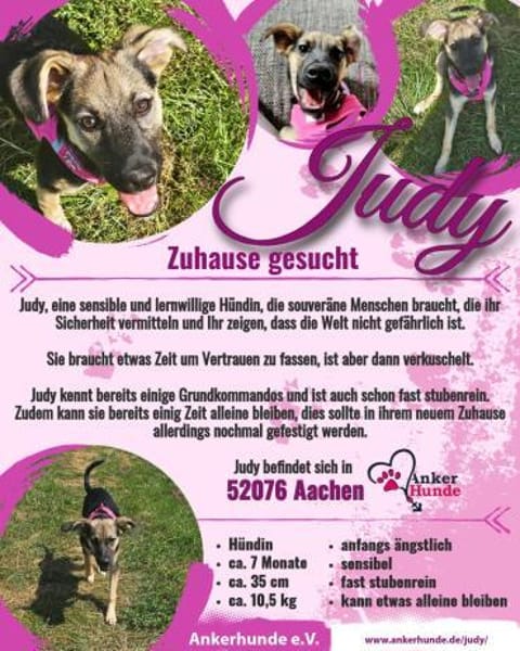Zaubermaus Judy sucht ihre Menschen