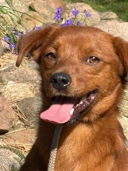 Sunny  ein kleiner Schatz