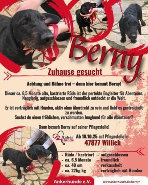 Bernysucht eine liebe Familie