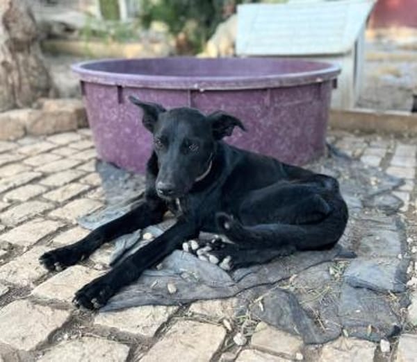 Betty hat einen Neuanfang verdient