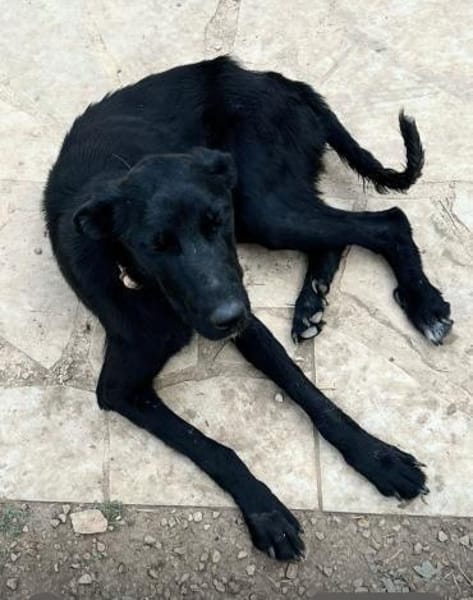 Betty hat einen Neuanfang verdient
