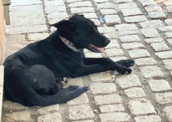Betty hat einen Neuanfang verdient