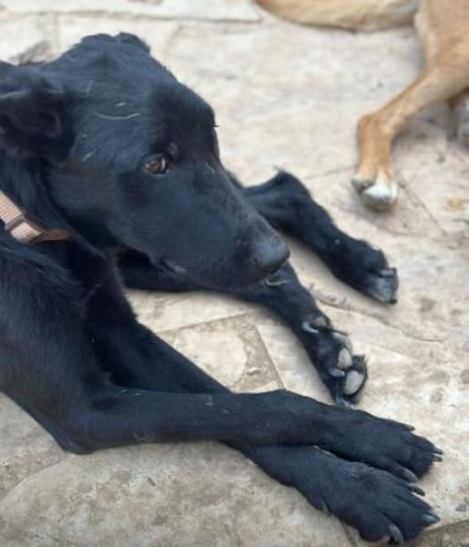 Betty hat einen Neuanfang verdient