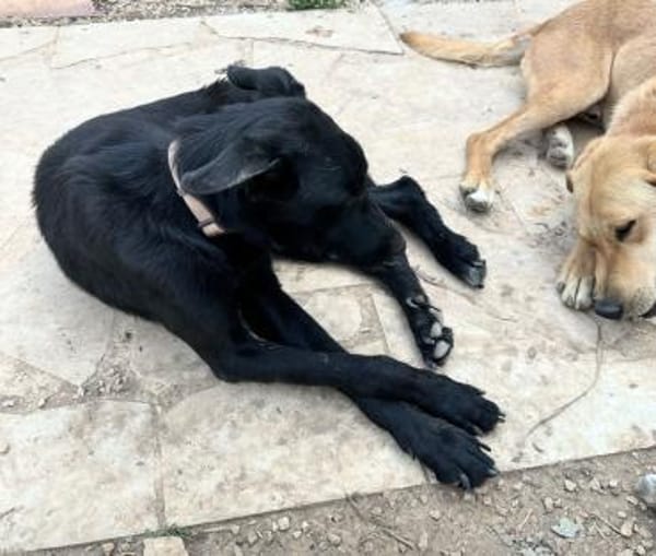Betty hat einen Neuanfang verdient