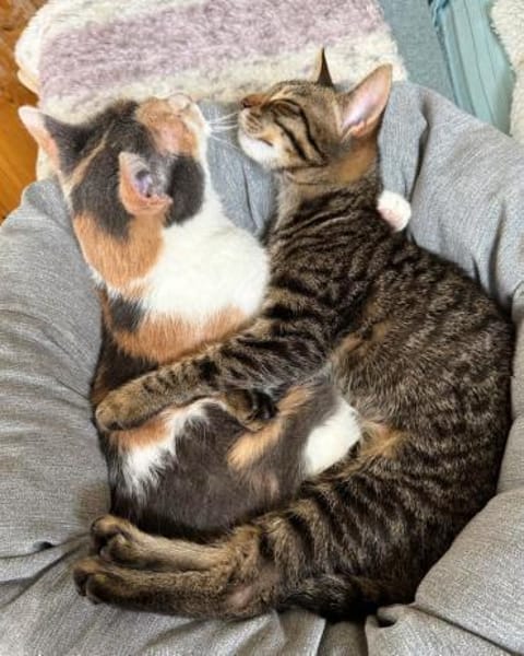 LUSI (11 Mon.) und MAUMAU (6 Mon.)