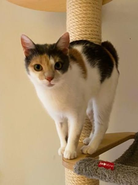 LUSI (11 Mon.) und MAUMAU (6 Mon.)