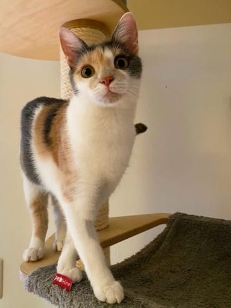 LUSI (11 Mon.) und MAUMAU (6 Mon.)