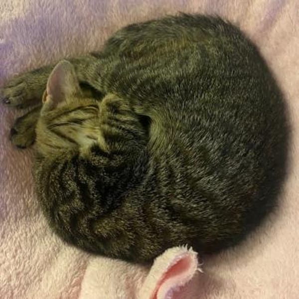 LUSI (11 Mon.) und MAUMAU (6 Mon.)
