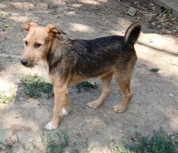 Jamy sucht Familienanschluß