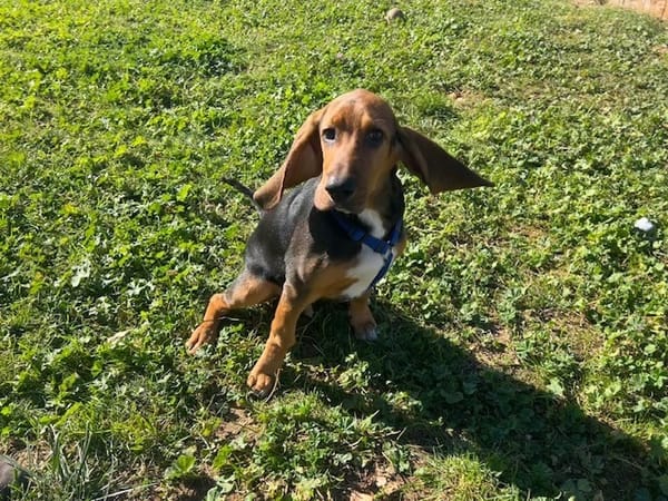 Arthur