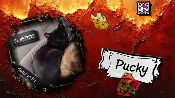 Pucky