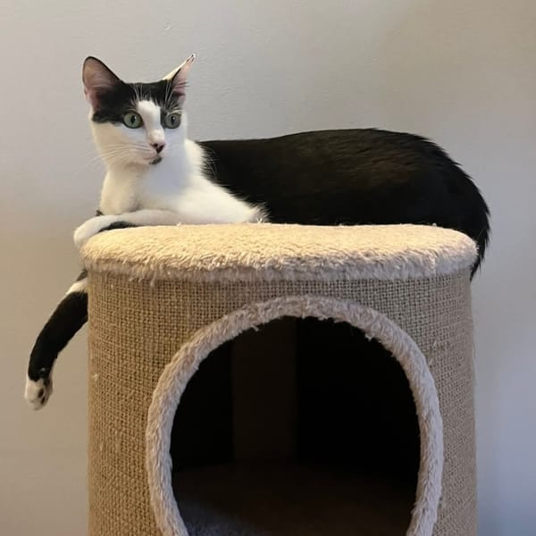 NAHLA