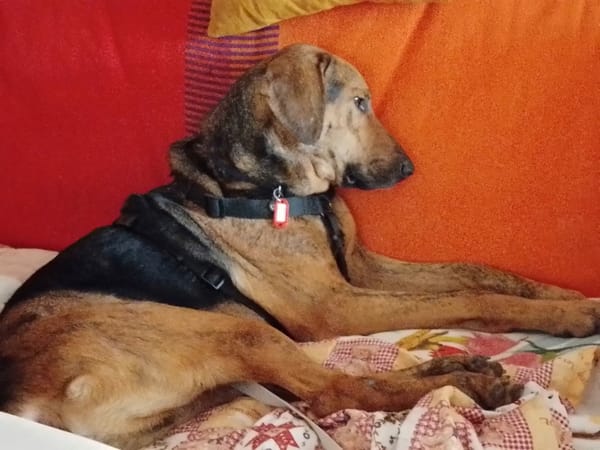 THOR