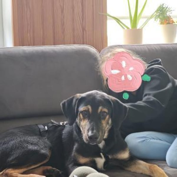 💚Fröhlicher Finnley sucht sein Glück 💚