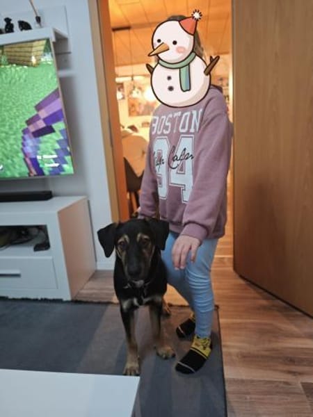 💚Fröhlicher Finnley sucht sein Glück 💚