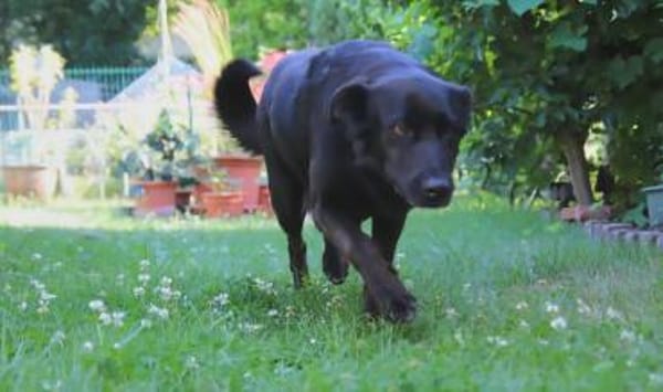 Elsa sucht ihr Happy End