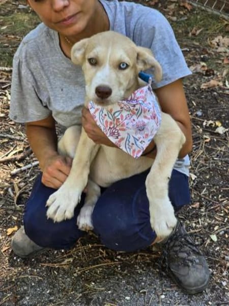 Sensibles soziales Hundekind SADY ♥