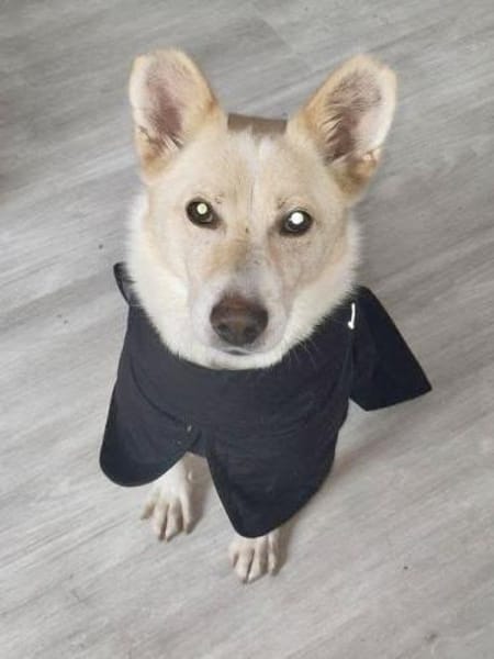SOS - HERMES verliert sein ZUHAUSE 🆘🆘