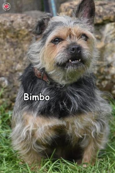BIMBO
